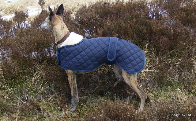 Quilted Whippet Coat